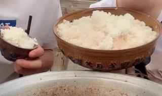 比熊可以吃白米饭吗 狗可以吃米饭吗